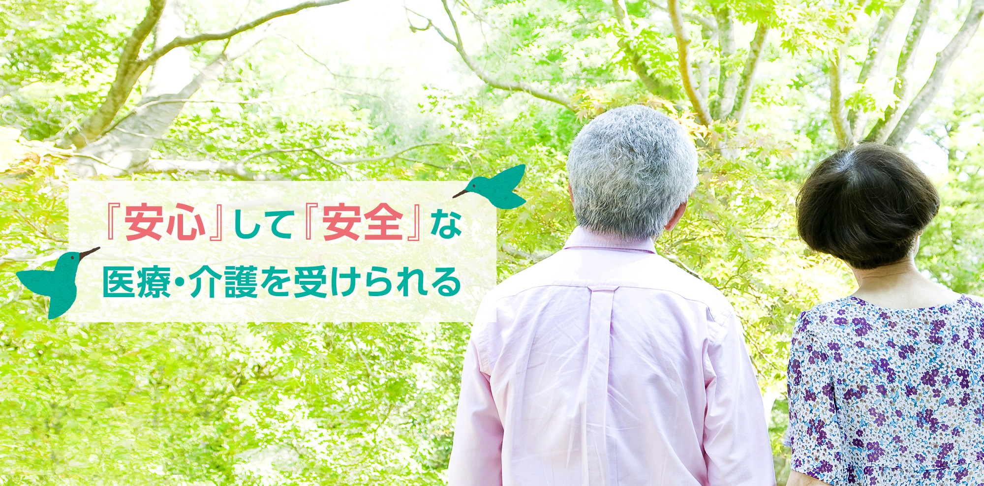 サルビアねっと
